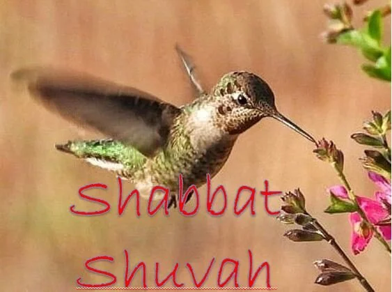 Shabbat Shuvah