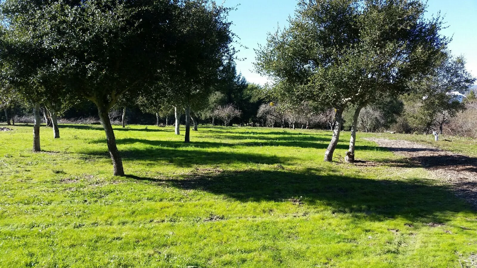 Ner Shalom Cemetery Visit  