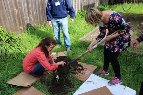 CELEBRATIONS: Tu Bishvat