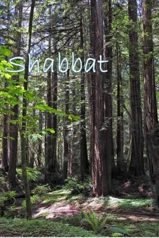 Shabbat with Reb Irwin