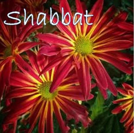 Shabbat with Reb Irwin