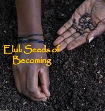 Elul: Seeds of Becoming