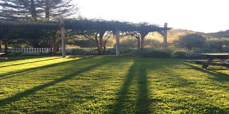 Nitzanim Family Education