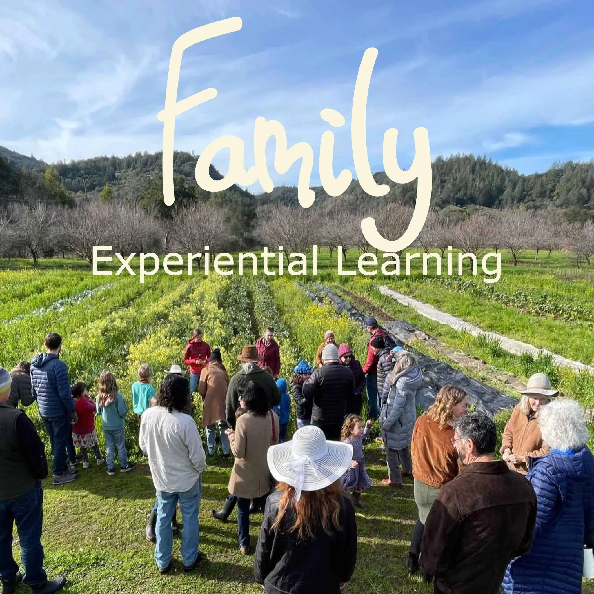 Nitzanim Family Experiential Learning