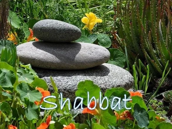 Shabbat on Zoom