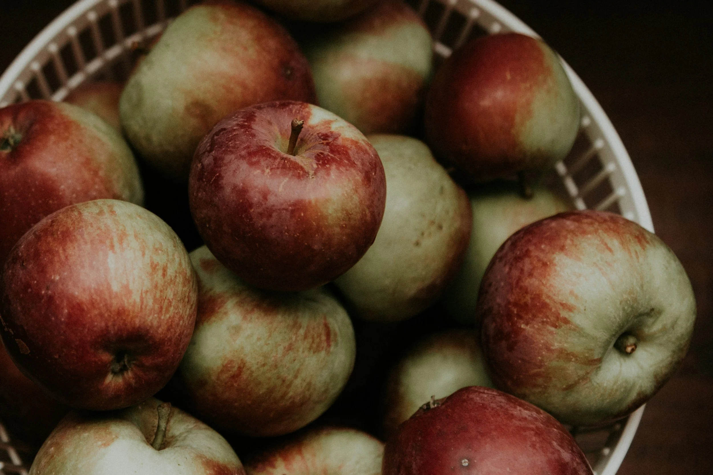 Apple Picking Time