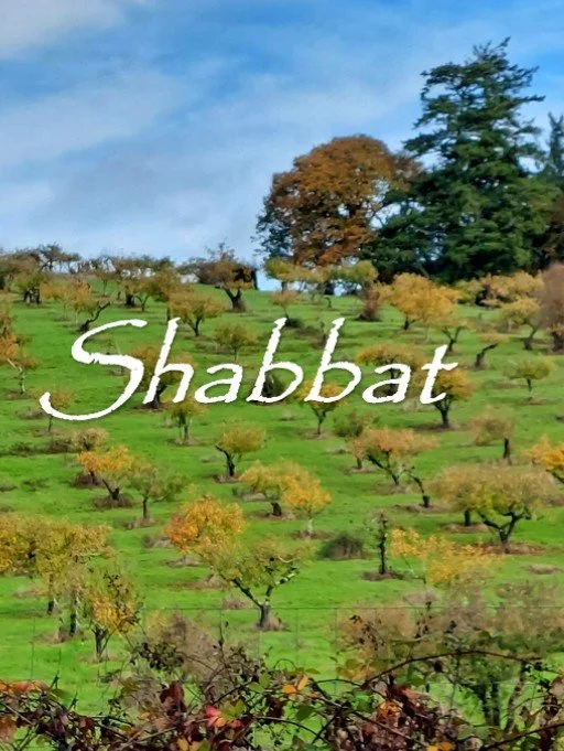 Shabbat with Rabbi Irwin and Atzilah