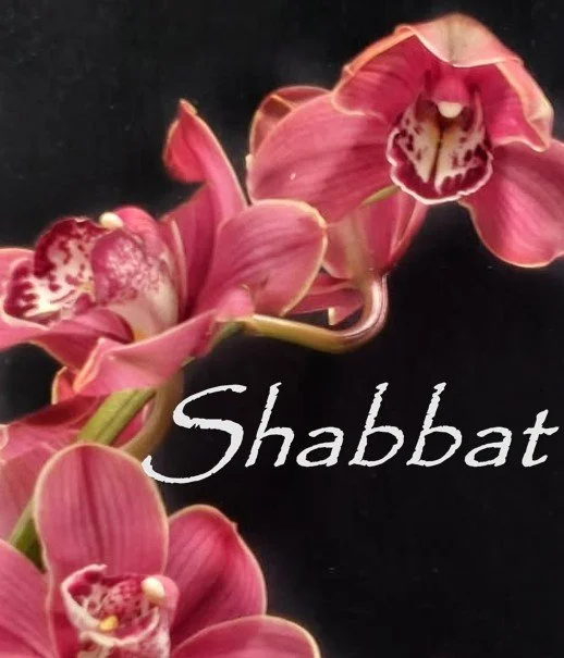Zoom Shabbat