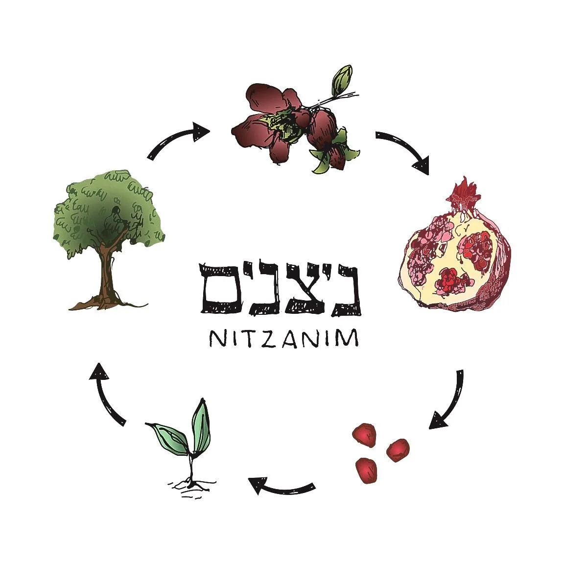 nitzanim logo color.jpg