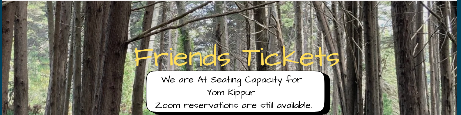 Friends Tickets - YK Sales Ended.png