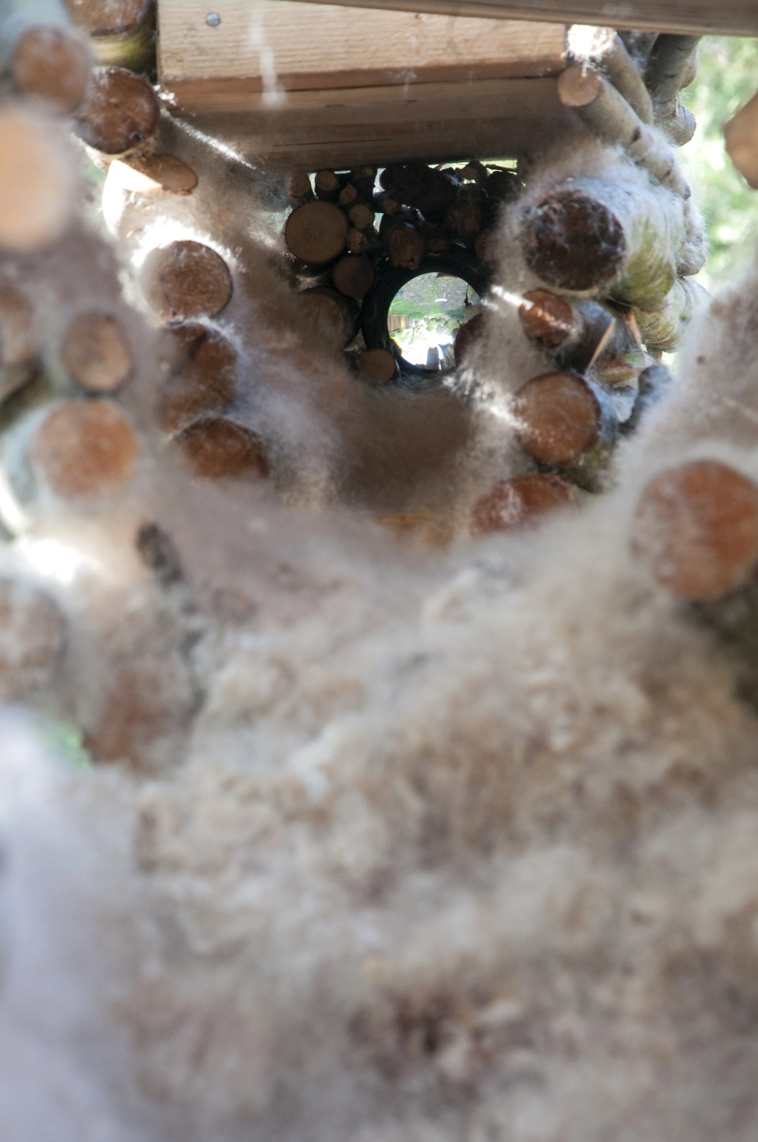 DSC_0674-Recovered.jpg
