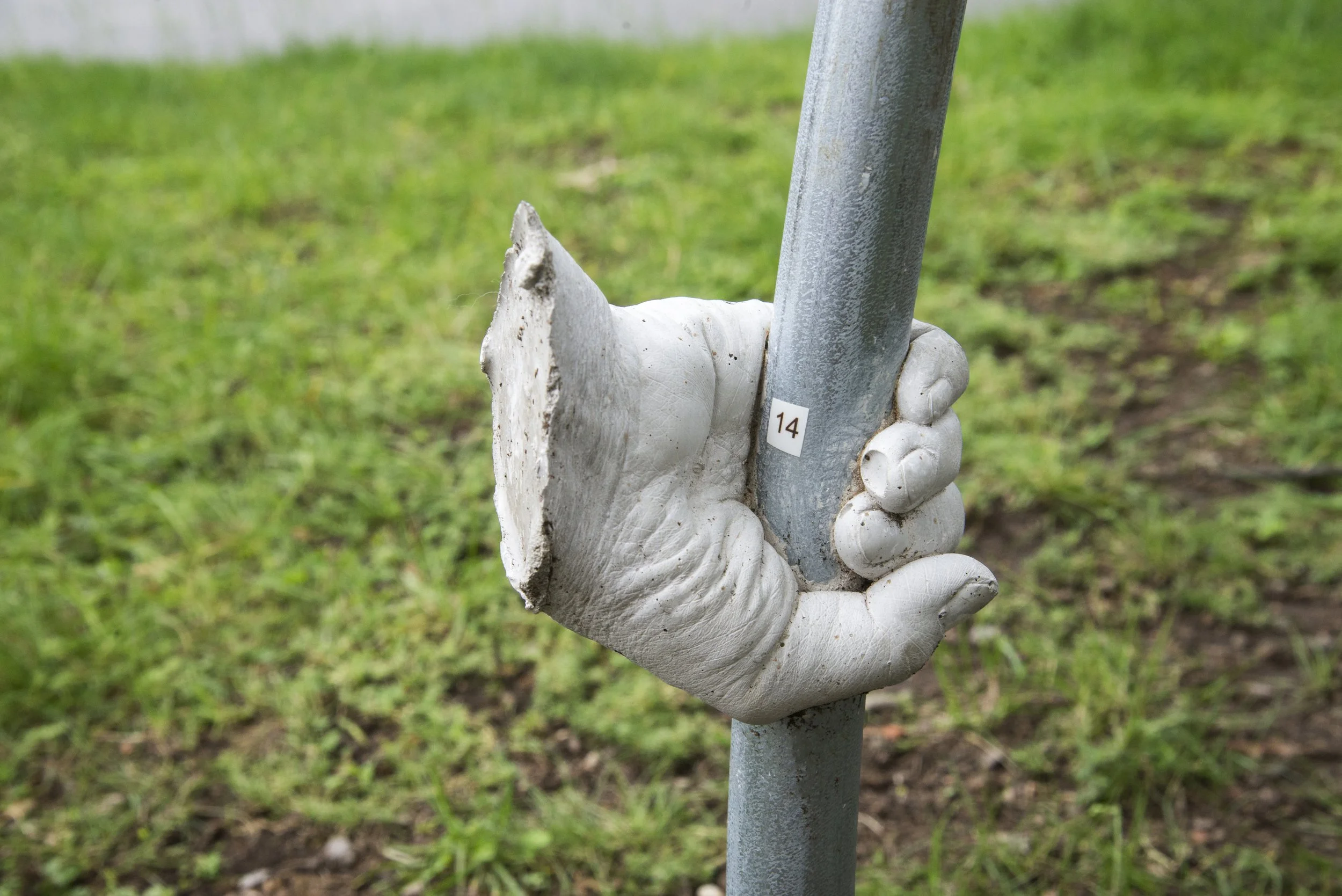 14_Laurie _Farrell.jpg