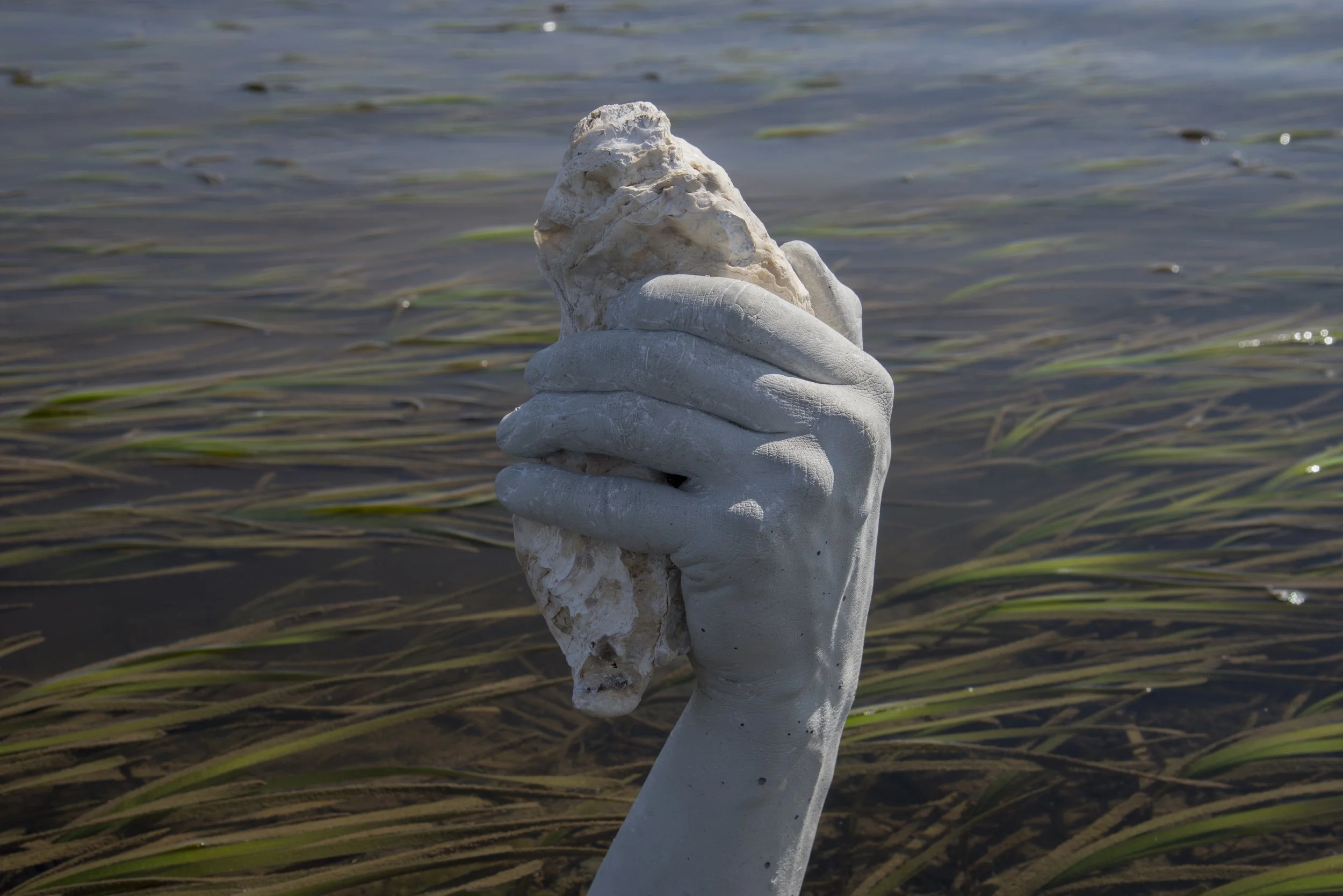 dsc_2818.jpg