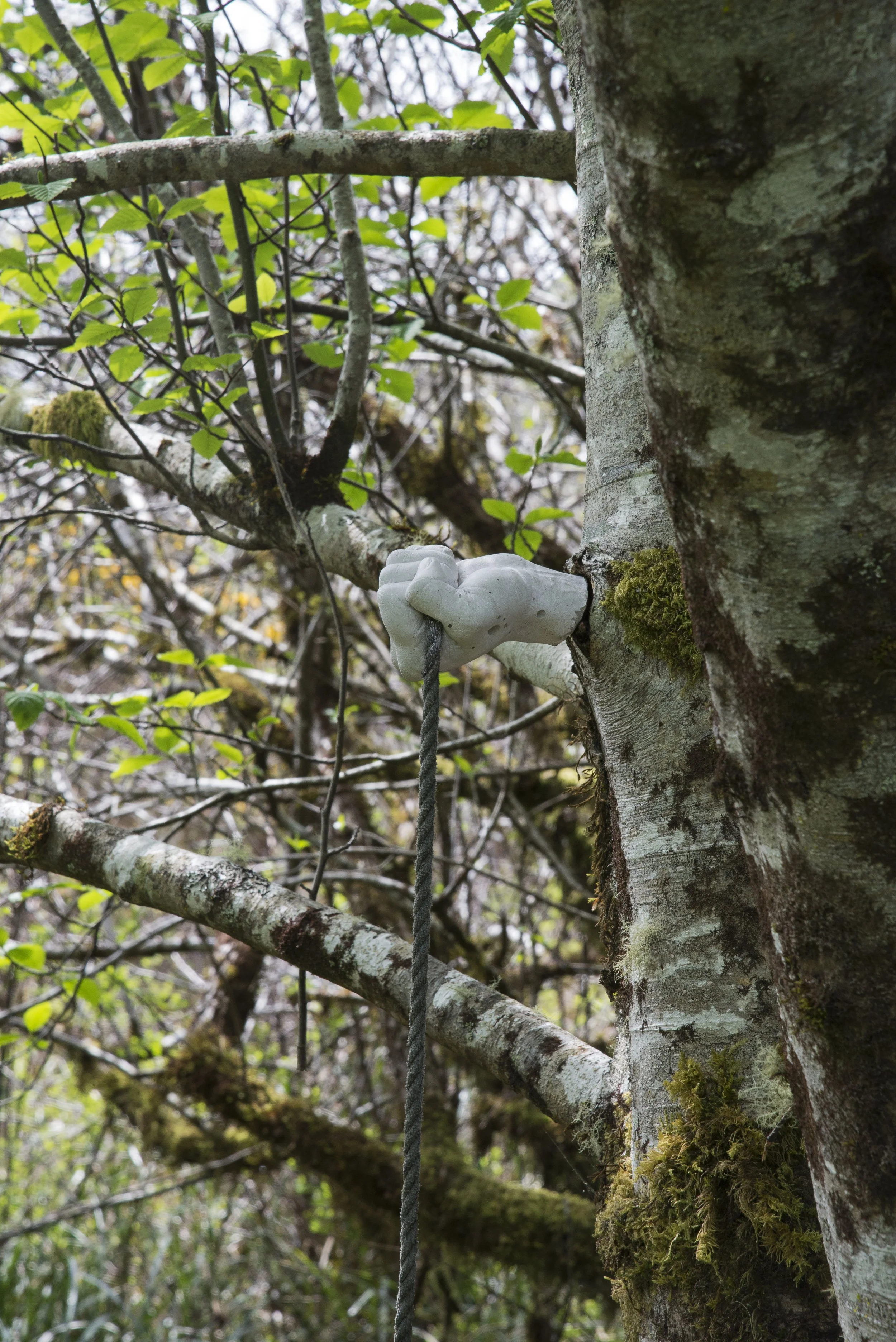 dsc_3187.jpg