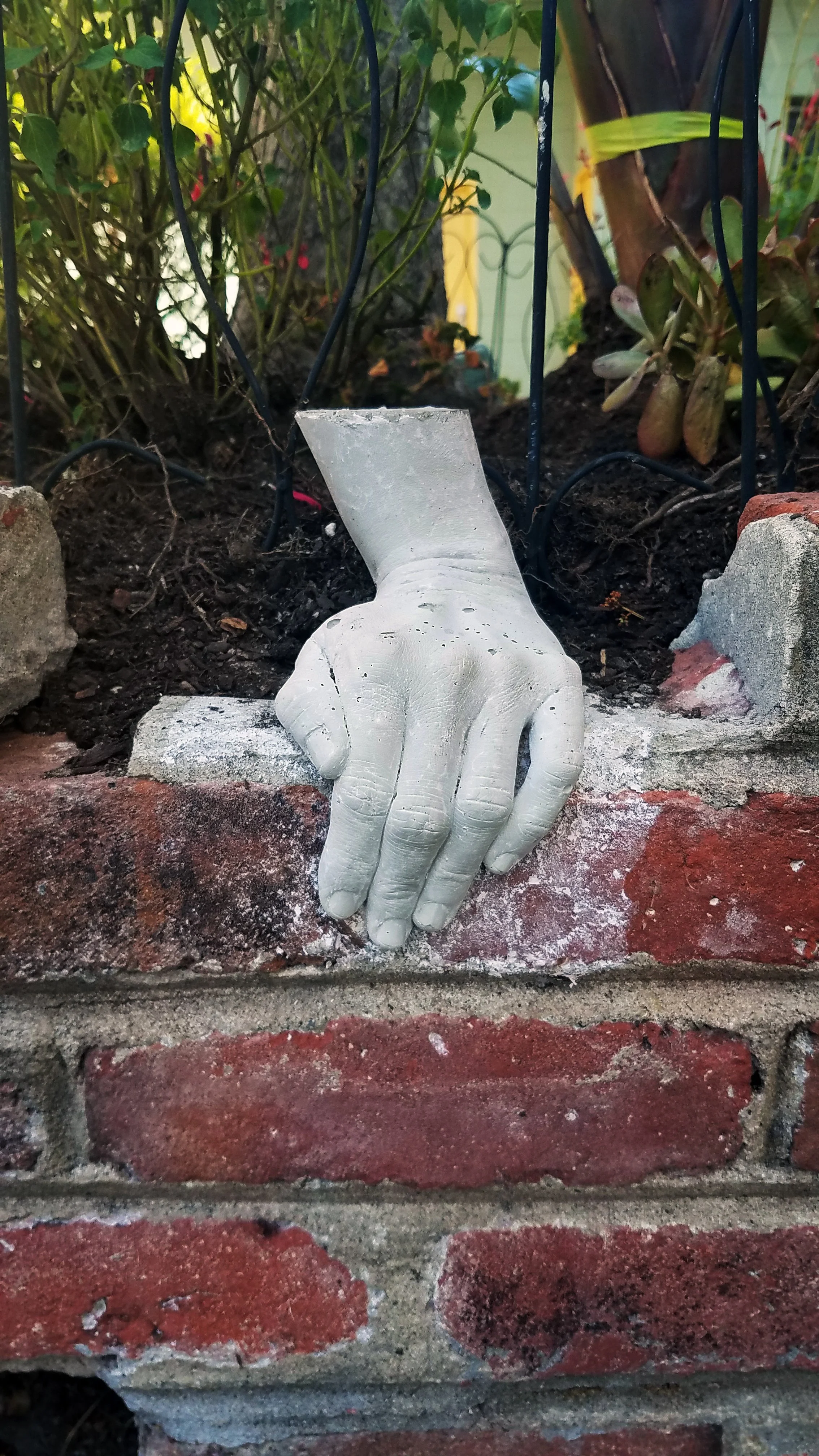 20200919_152816.jpg