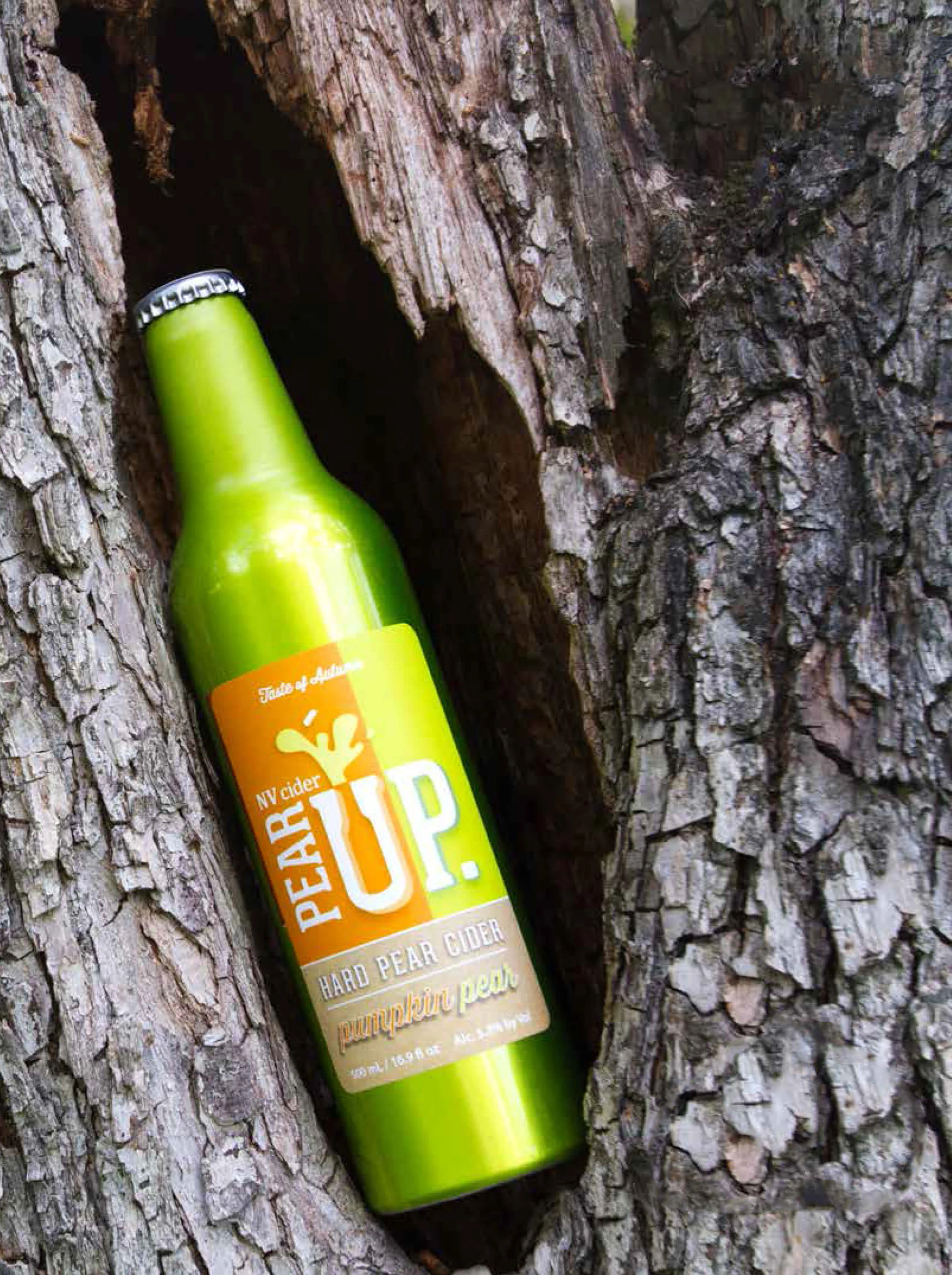 A bottle of pumpkin-flavored Pear Up cider sits in a 107-year-old Anjou tree in Kevin Van Rennen's orchard in East Wenatchee. Photo by Michelle Naranjo, Foothills Magazine.