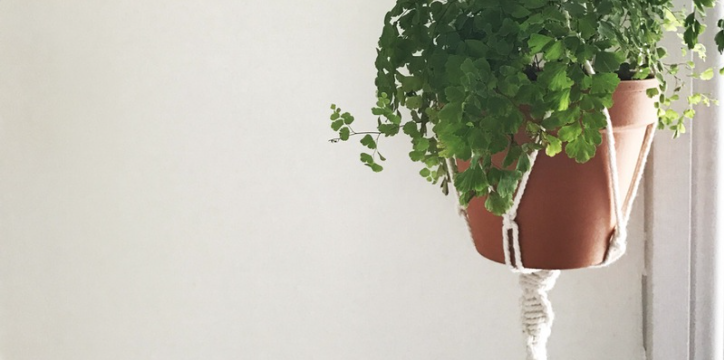 Macrame Plant Hanger - Workshop
