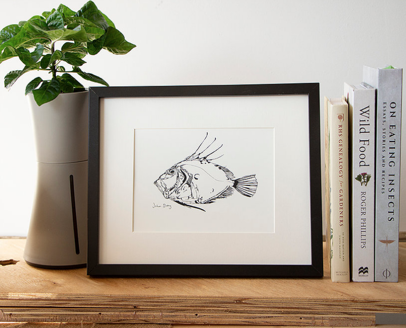 Project Fish Prints