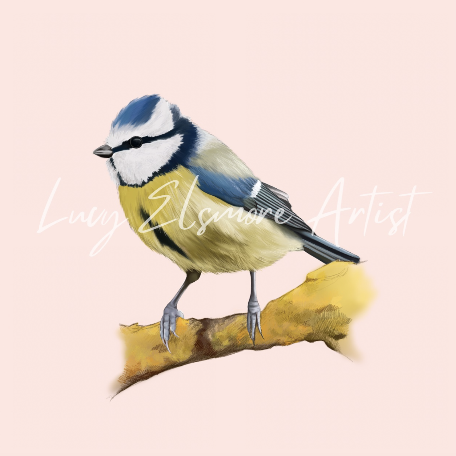 Lucy Elsmore Artist