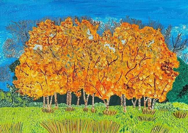 Amabel Illustrations