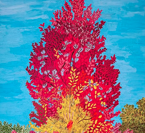 Amabel Illustrations