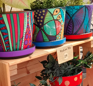 Purple Hat Pots