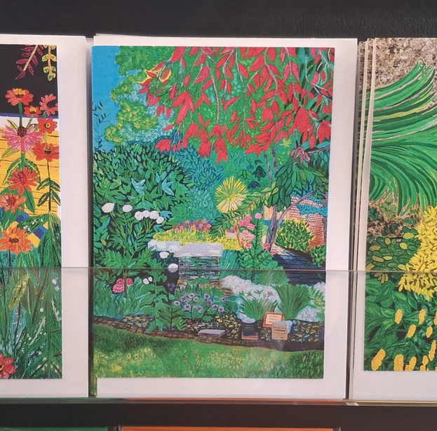 Amabel Illustrations