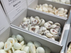 Amber Hue Candles