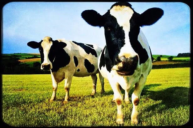 Episode 6: The Tenant Episode 6: The Tenant