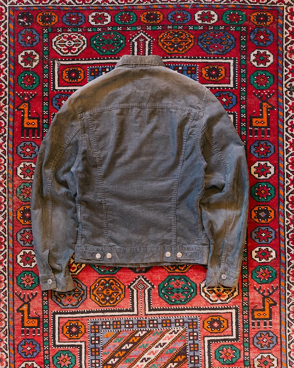 1C5A6621.jpg