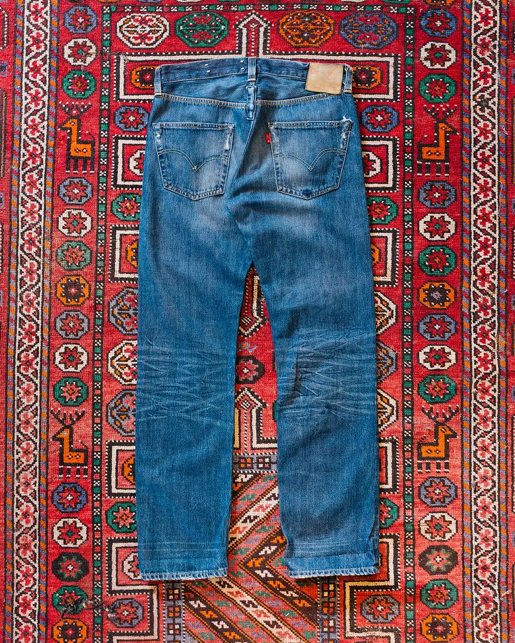 1C5A6516.jpg