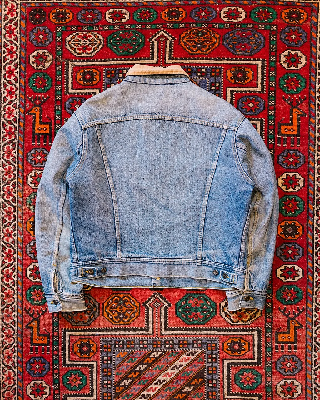 1C5A8507.jpg