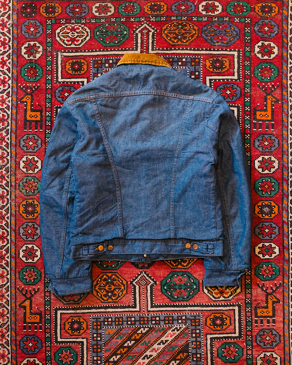 1C5A8671.jpg