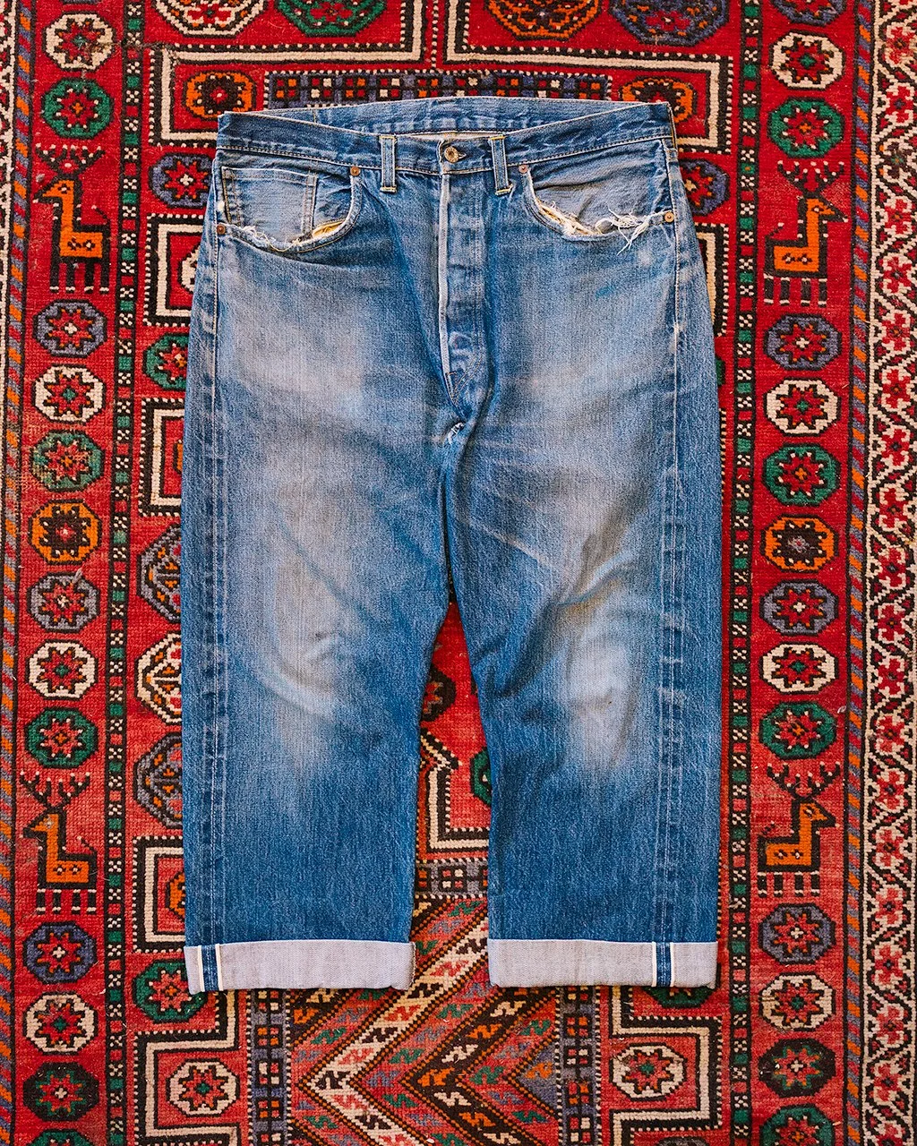 1C5A8525.jpg