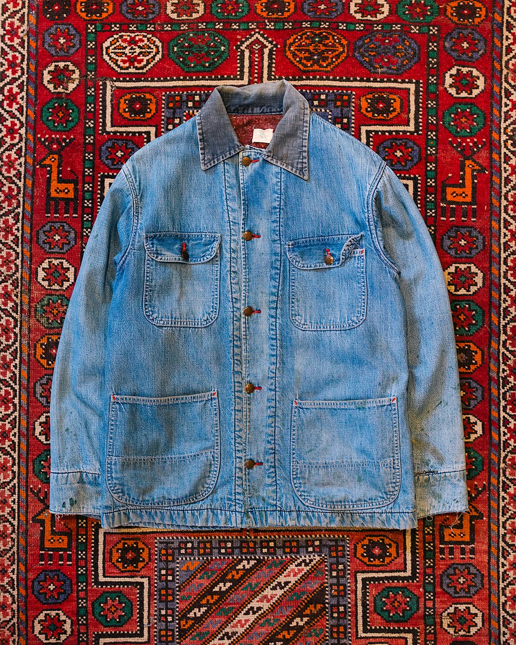 1C5A8681.jpg
