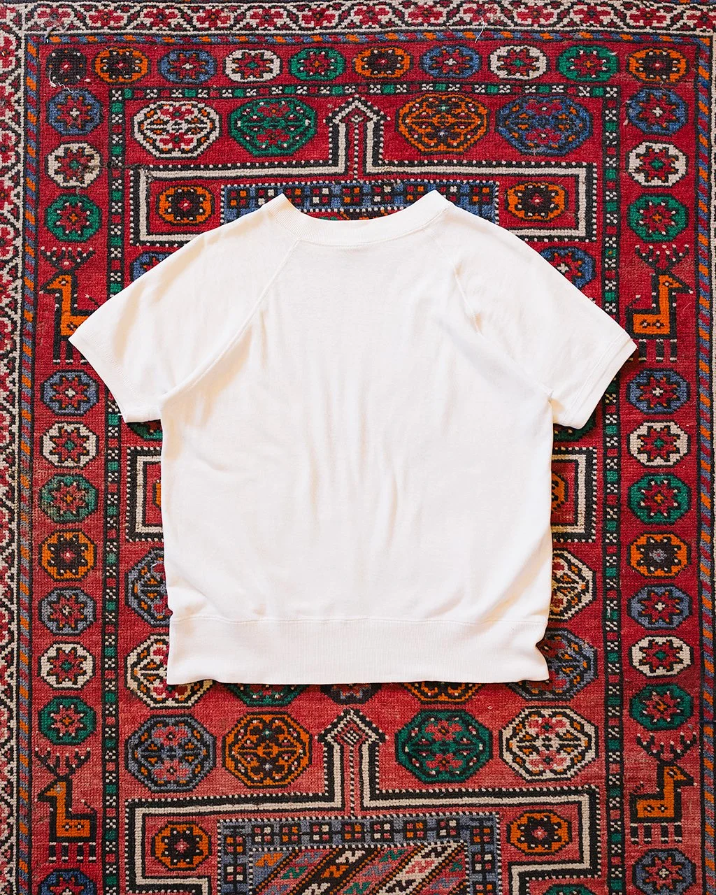 1C5A6864.jpg