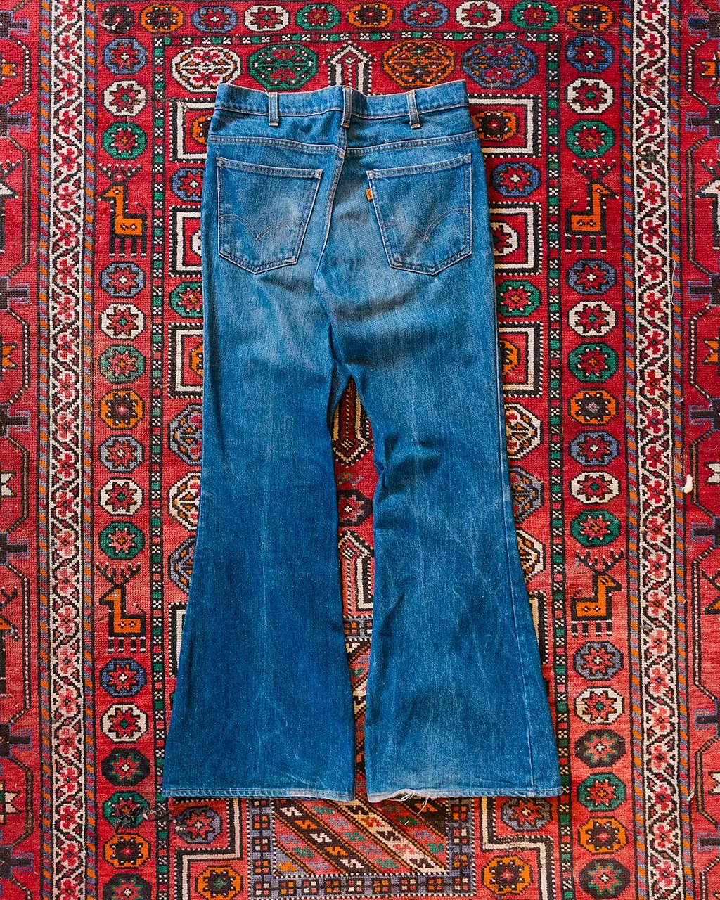1C5A6506.jpg