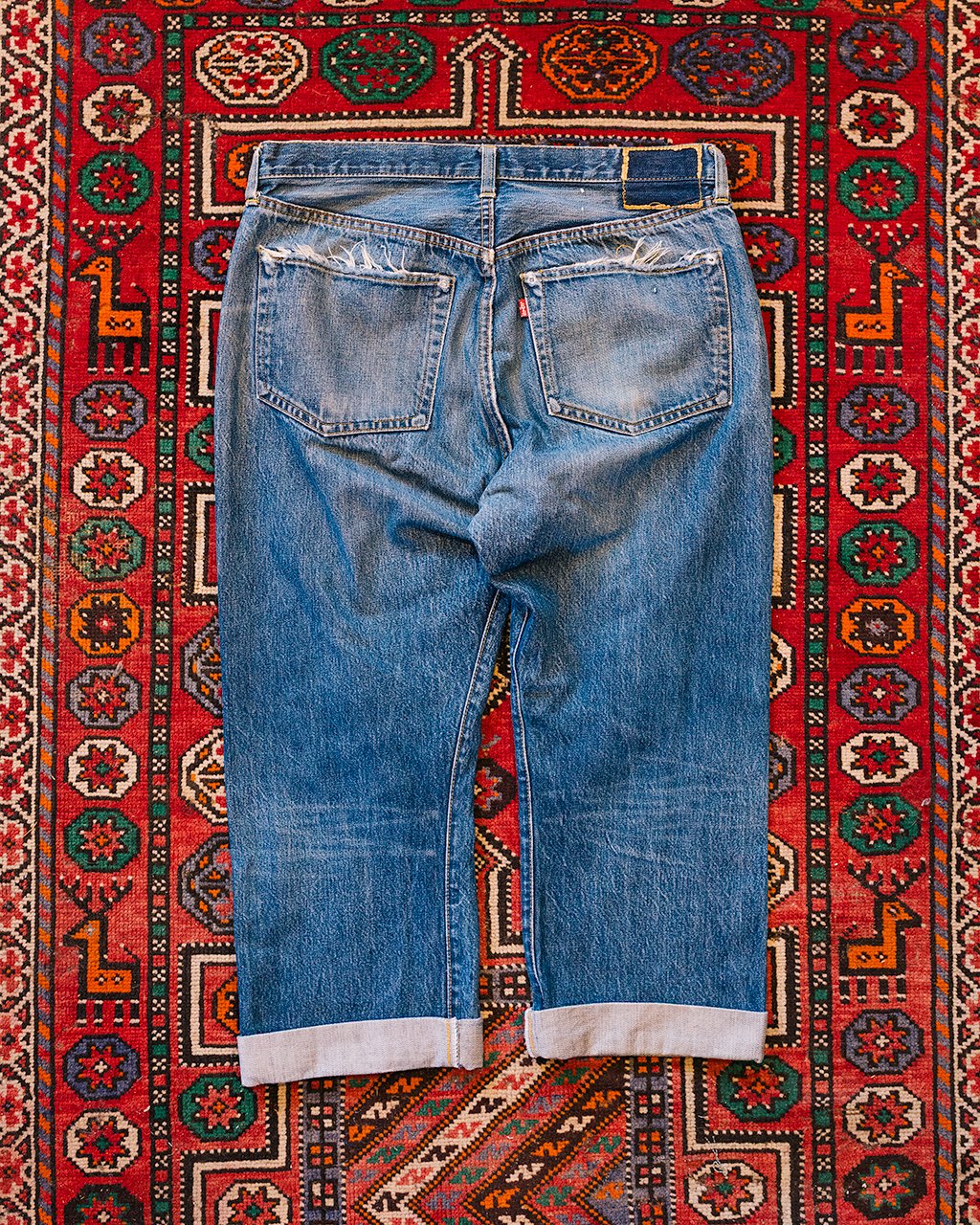 1C5A8534.jpg