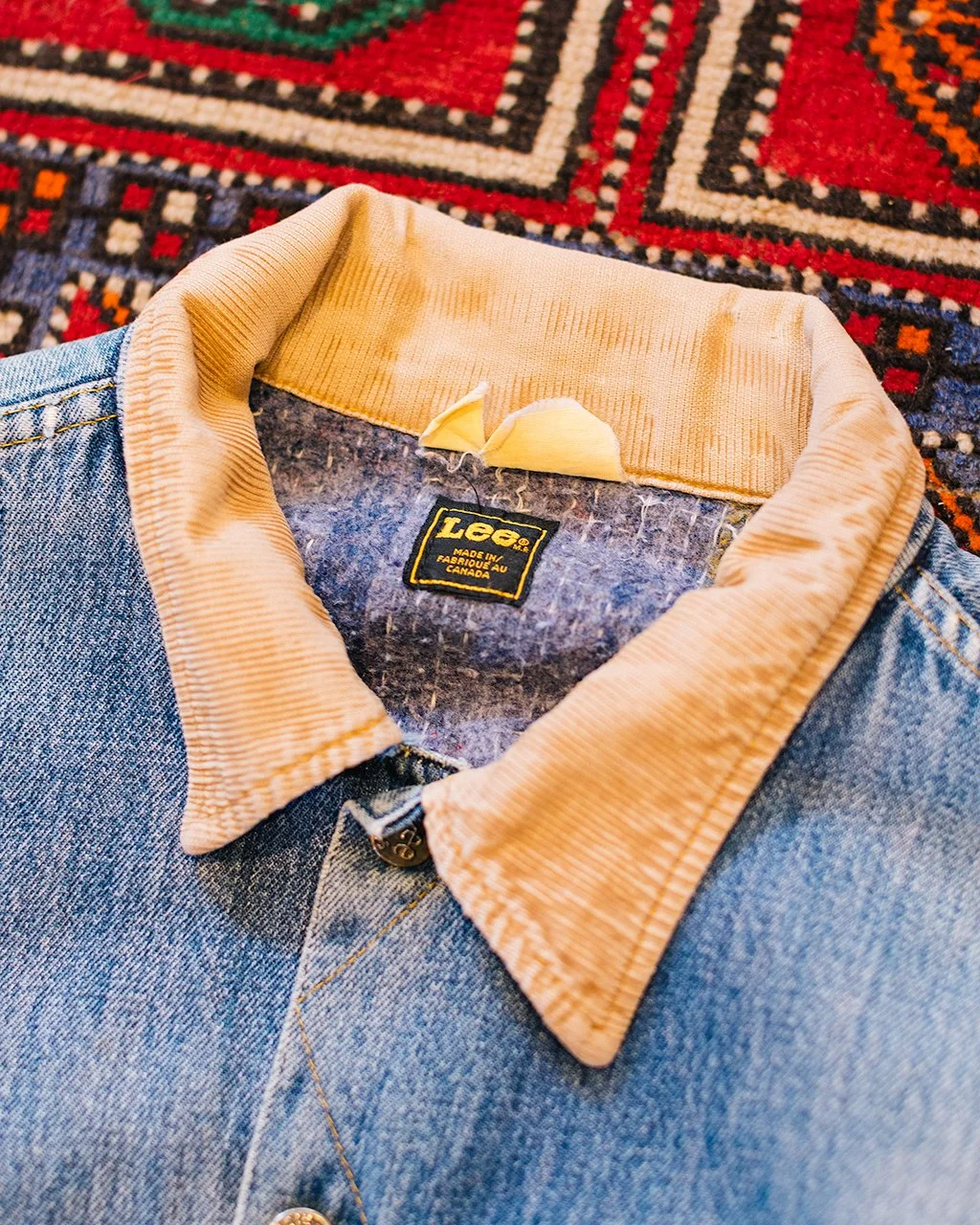 1C5A8500.jpg