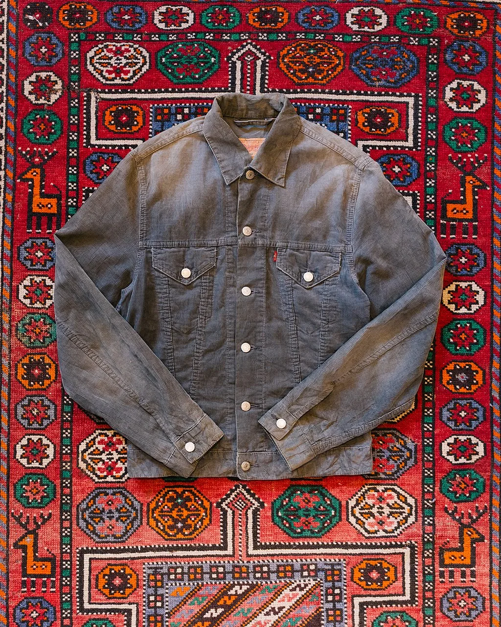 1C5A6616.jpg