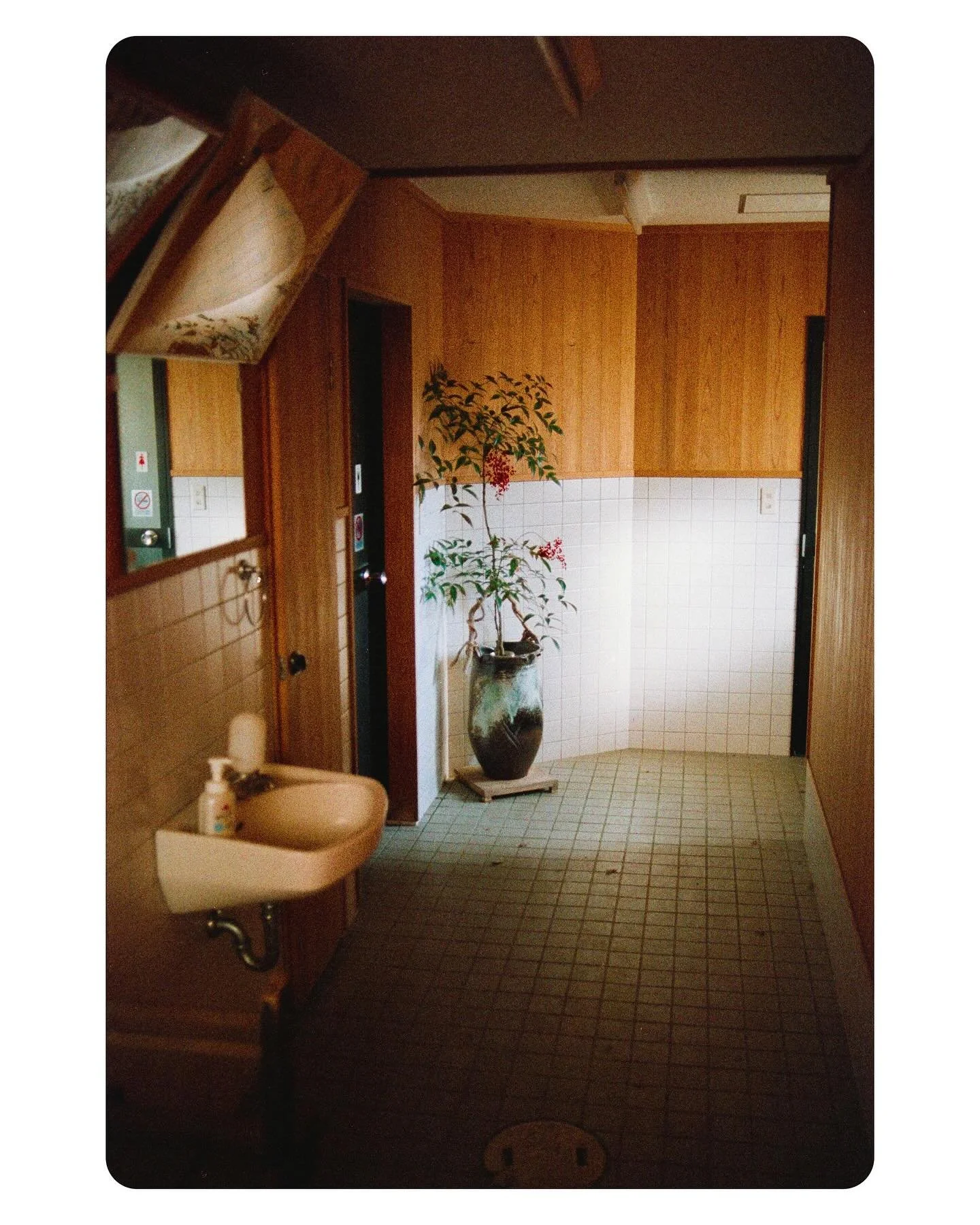 .
.
.
Kyoto on 1996 expired film.
@valentinwilliet @jo_tarti @celestinmonteil @frambois_ine dream team. 
#filmphotography #analogphotography #fujifilm #fujiHG1600 #HG1600 #nikon #nikonf100 #kyoto #japan #visitjapan #expiredfilm