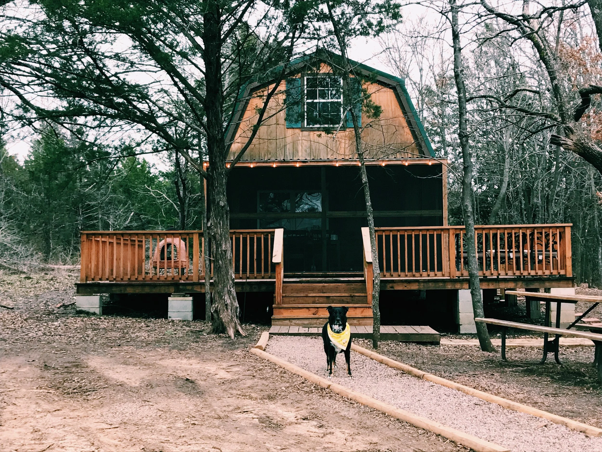 Stellar, Tried &amp; True Airbnbs Across Texas