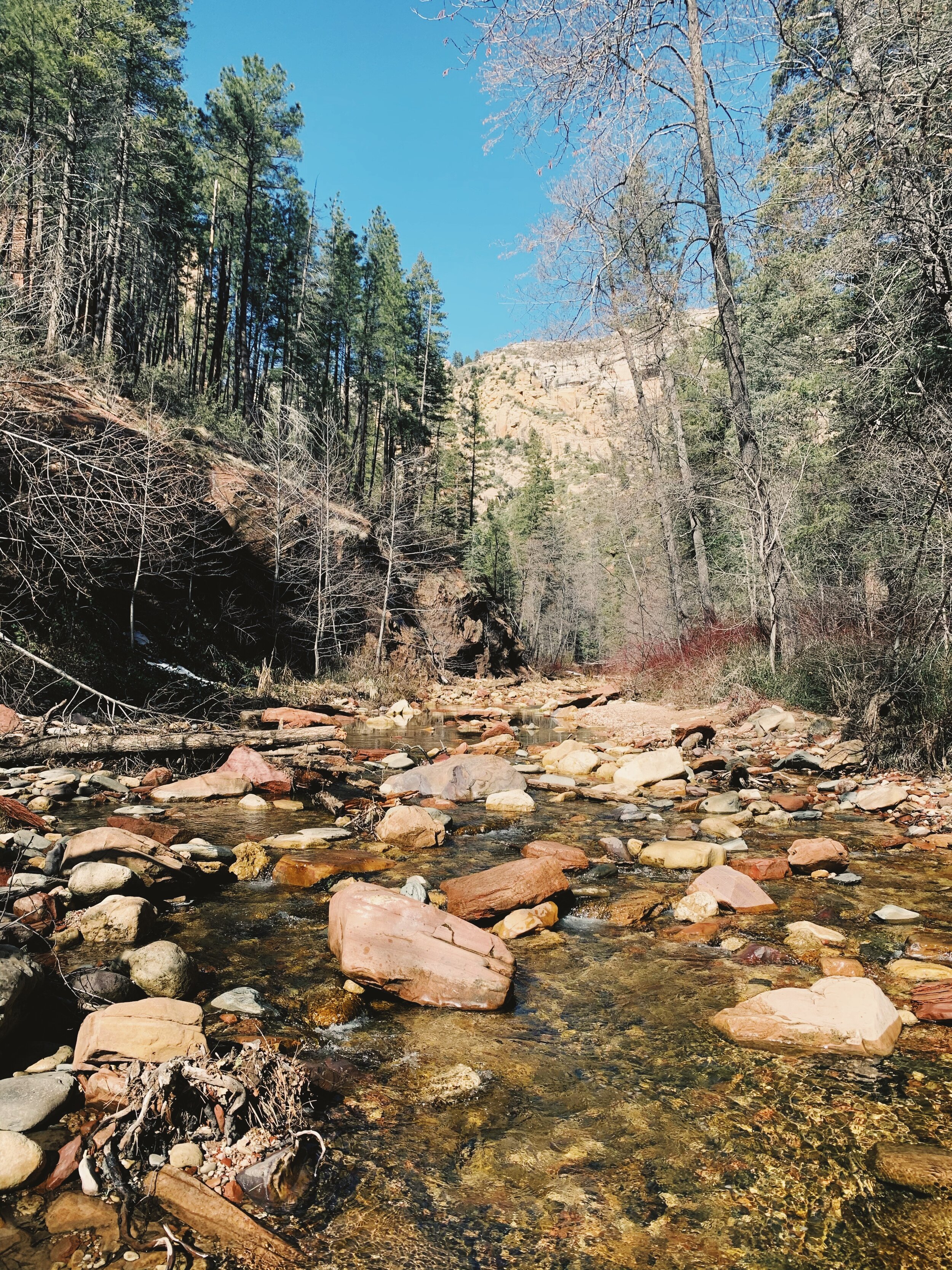 West Fork Canyon Hike