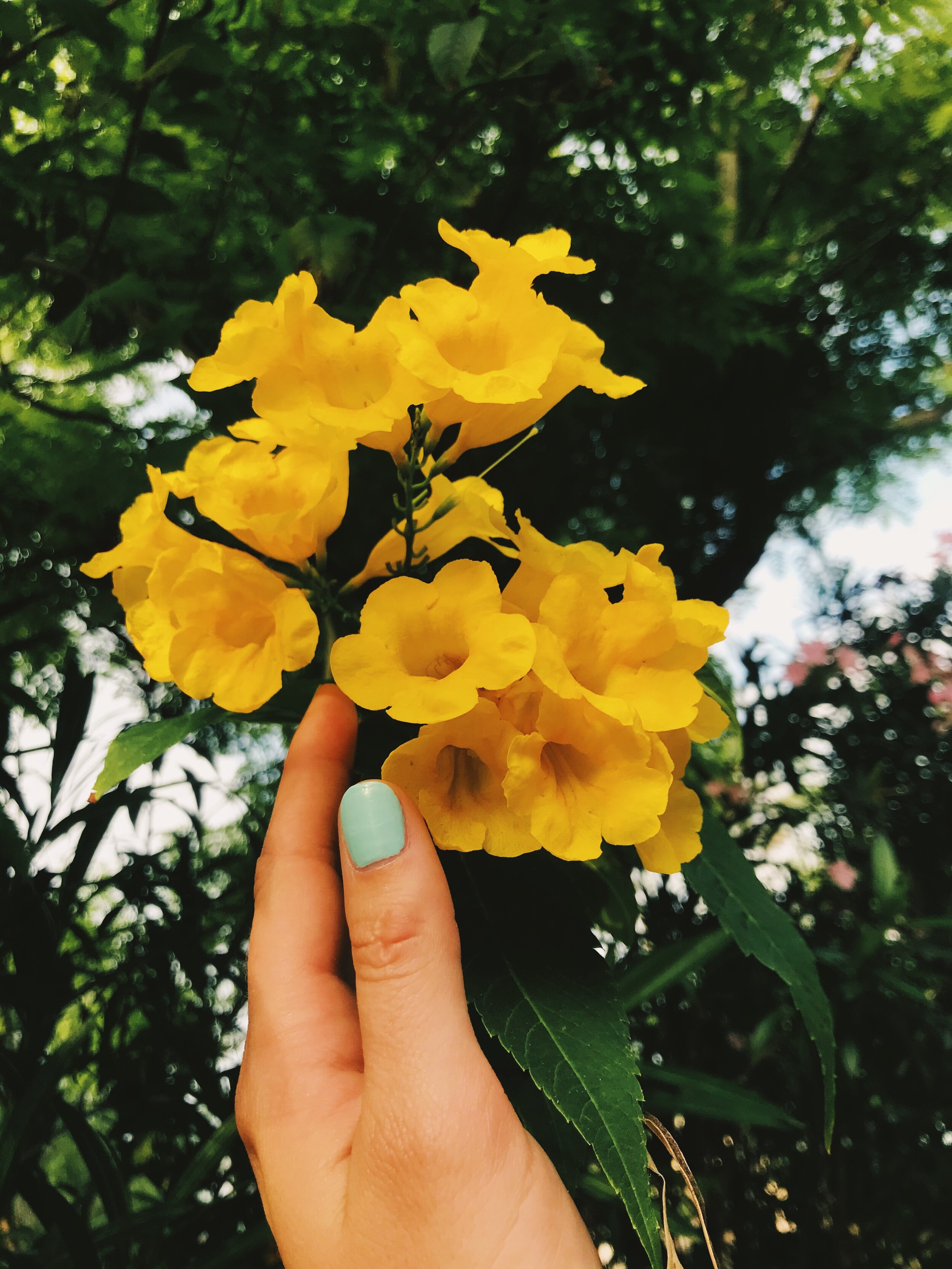 There Might Just Be a Science to Living a Happier Life: Finding Your Character Strengths is Step One