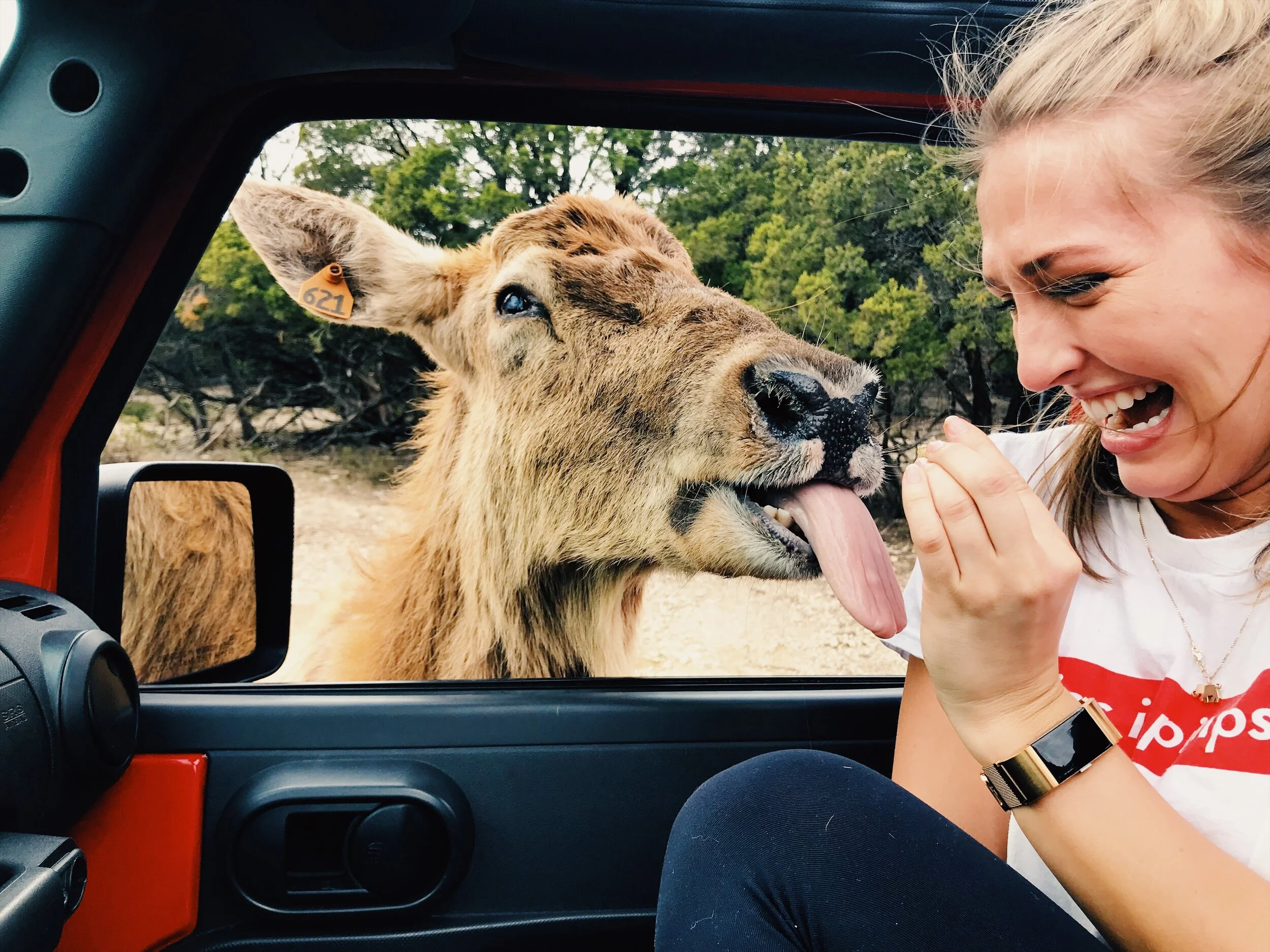 From Safaris to Swimming Holes: Glen Rose is The Perfect Texas Travel ...