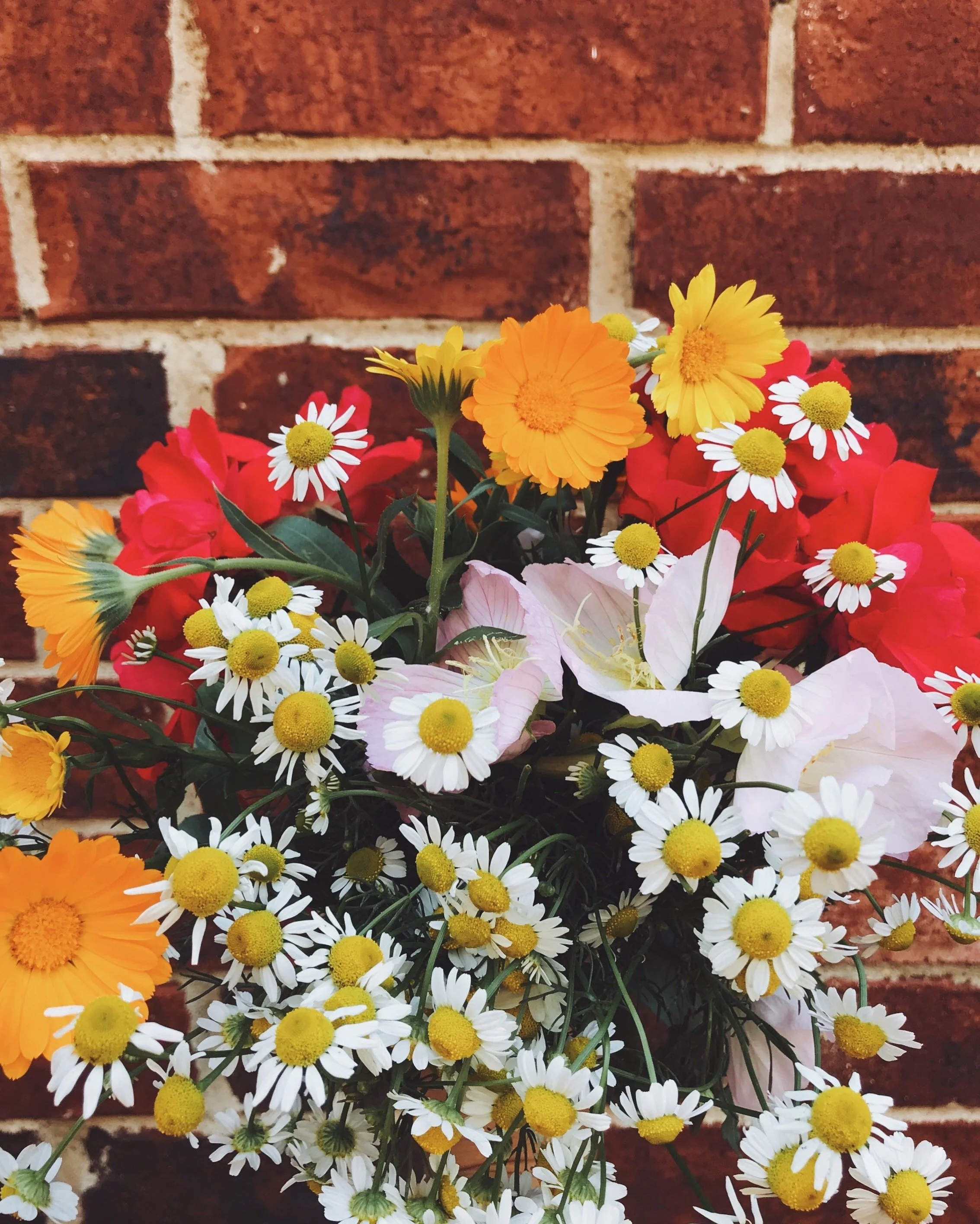 Ready for a Refresh? Spring Cleaning (for Your Life)