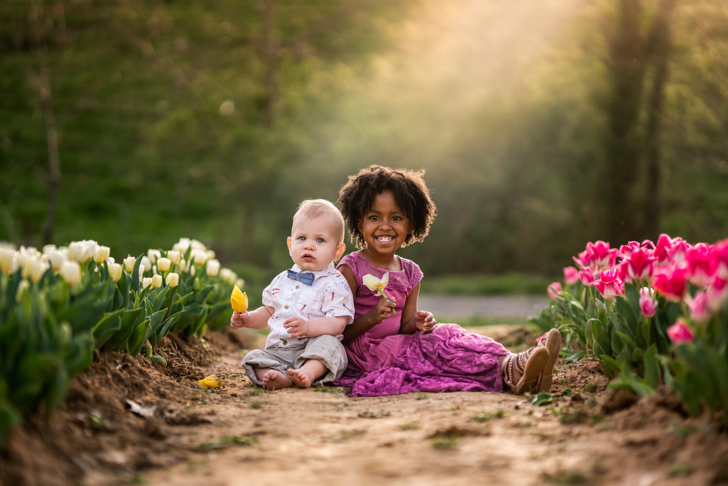 children in tulip garden at sunset - Asheville family photographer
