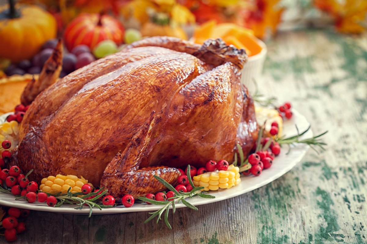 Project Turkey