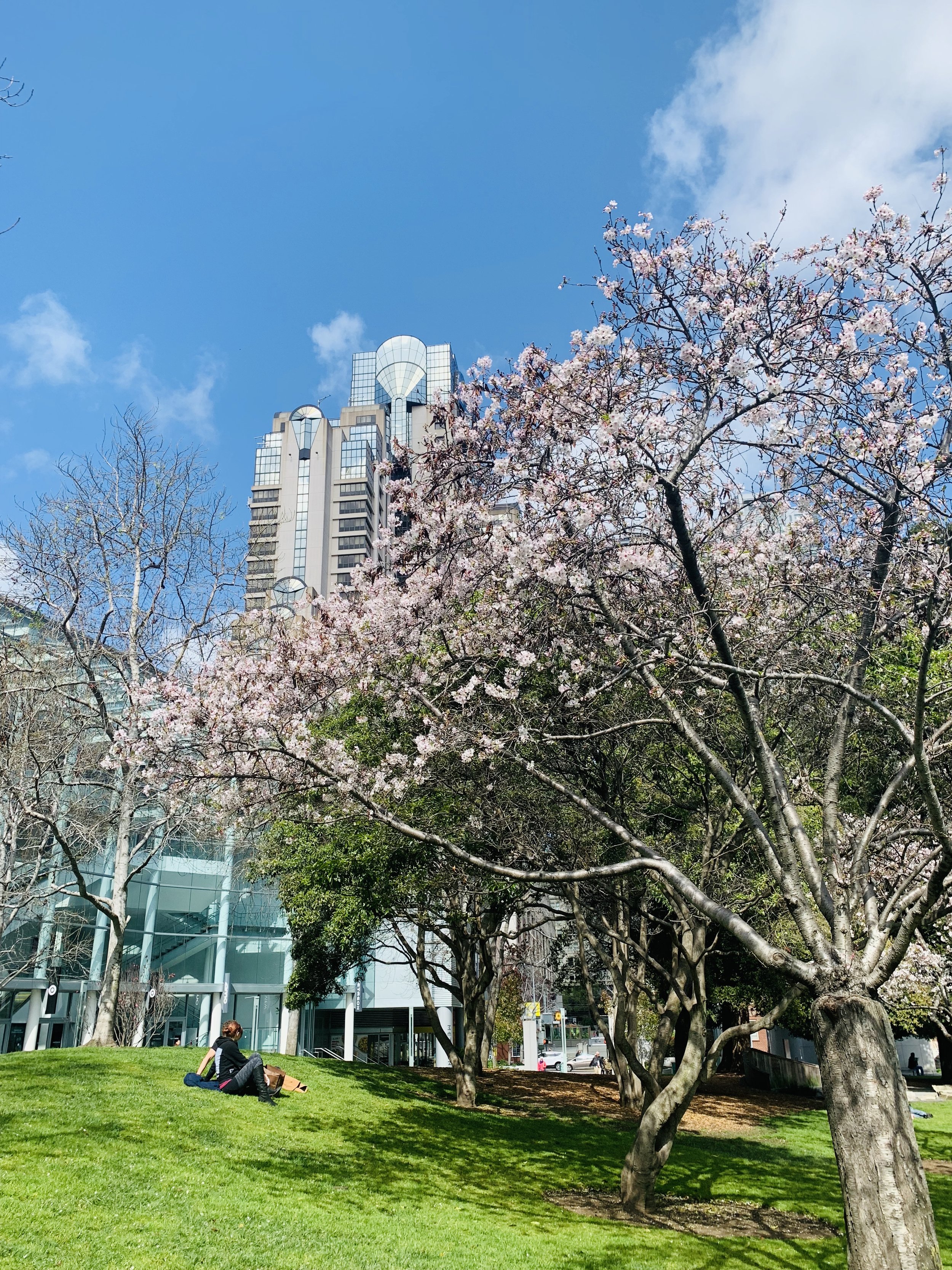 Yerba Buena Park