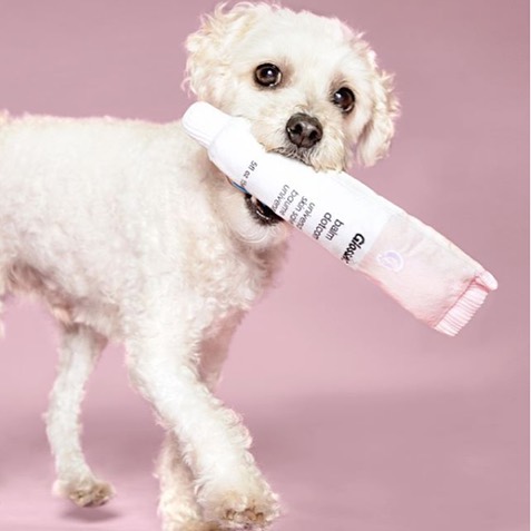 Two brilliant brands, @glossier and @bark have joined forces to release perhaps the most millennial-esque batch of dog toys ever. Cult fave products like boy brow and balm dotcom are now available for your favorite pup to chew, lick and fetch. 
Adora